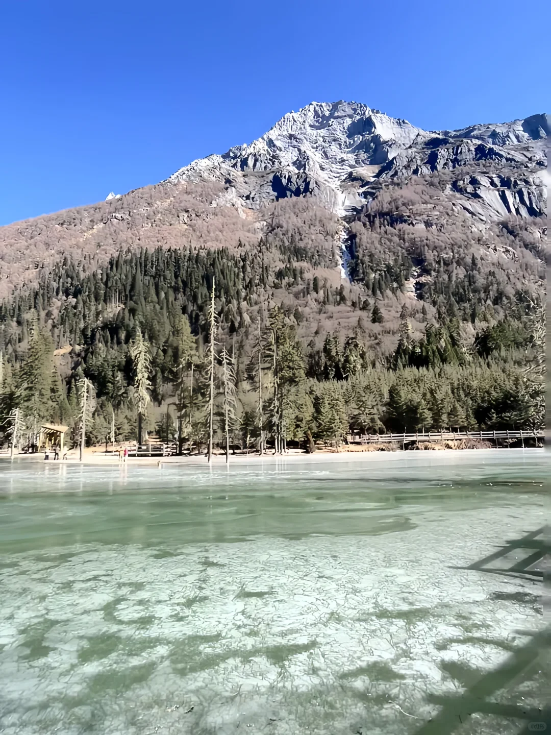 川西现状...😢真不建议1-3月去，因为...
