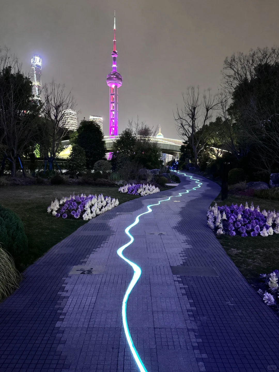 上海根本就不是小红书说的那样……