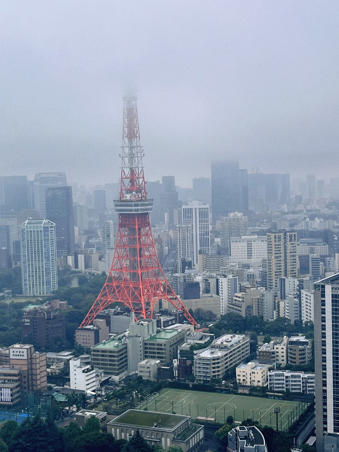 花小💰装大杯，5天4夜玩遍东京🗼