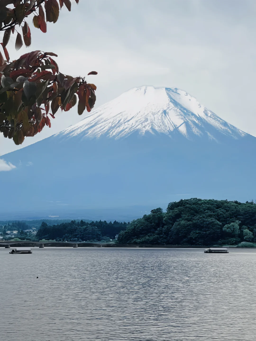 花小💰装大杯，5天4夜玩遍东京🗼