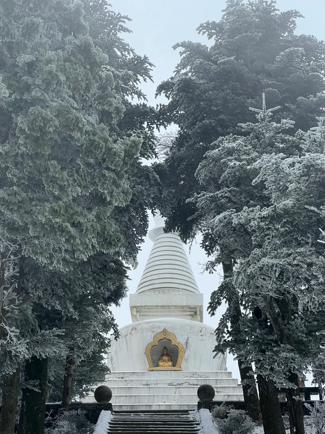 一到冬天❄️庐山就是掌管雪景的神👺【1.26】