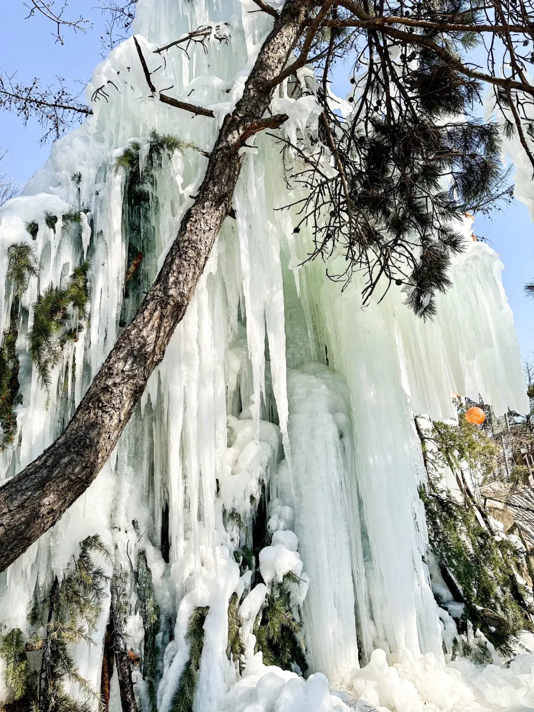 不是北极！是临沂！99%都不知道的冰瀑打卡地！