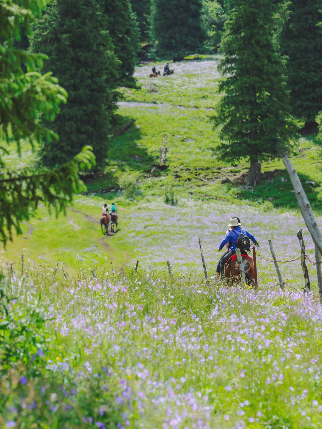 real China! Chinese outdoor life