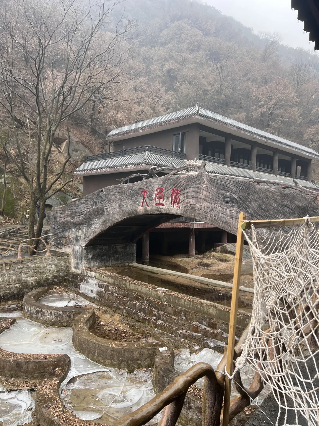 洛阳过年有地方去啦‼️猴戏表演欢笑连连