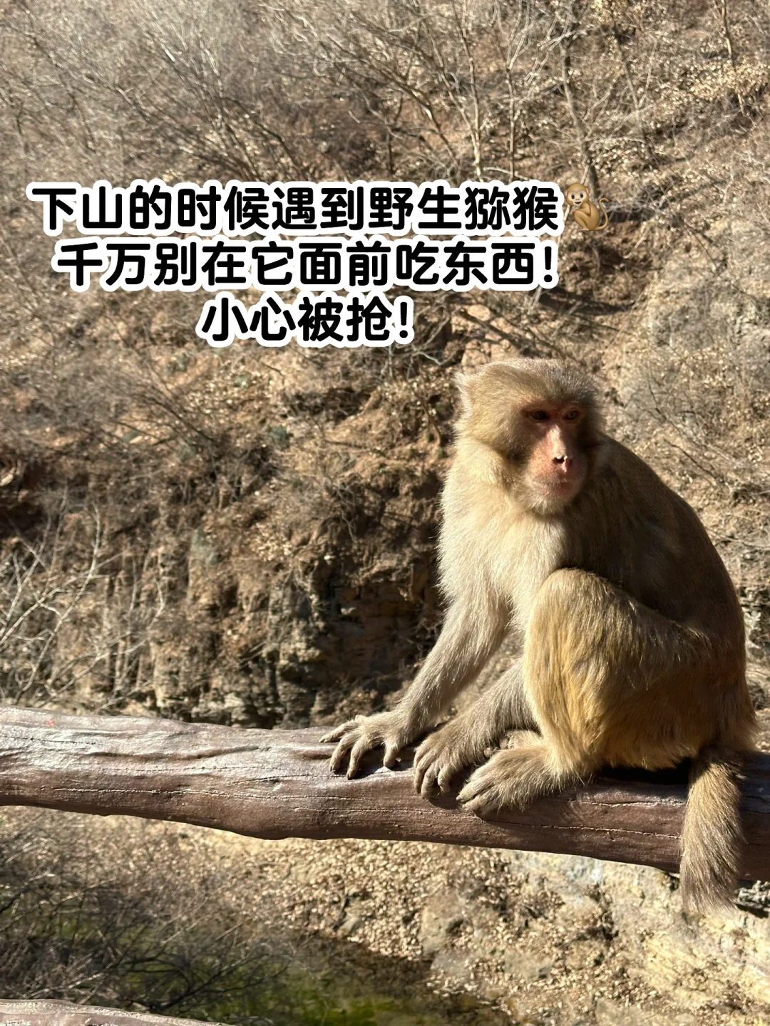 1.18云台山实拍现状❄️附懒人攻略和住宿体验