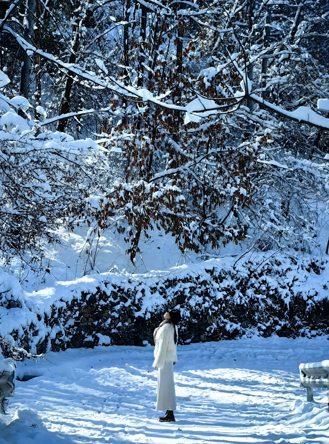 美到失语❗️西安0.5h直达阿勒泰，能免费滑雪