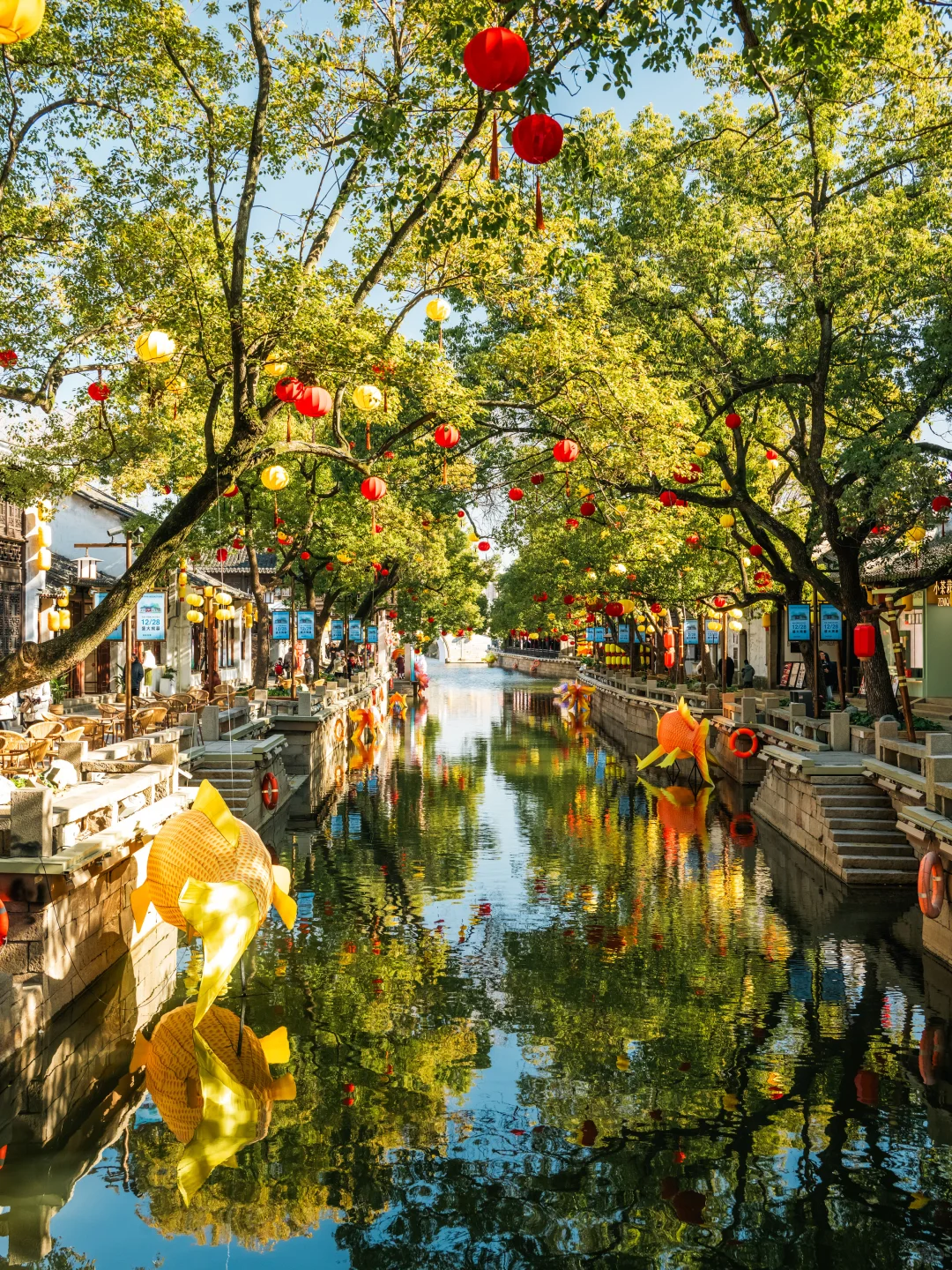 不愧是央妈严选,我最喜欢的江南古镇出现了