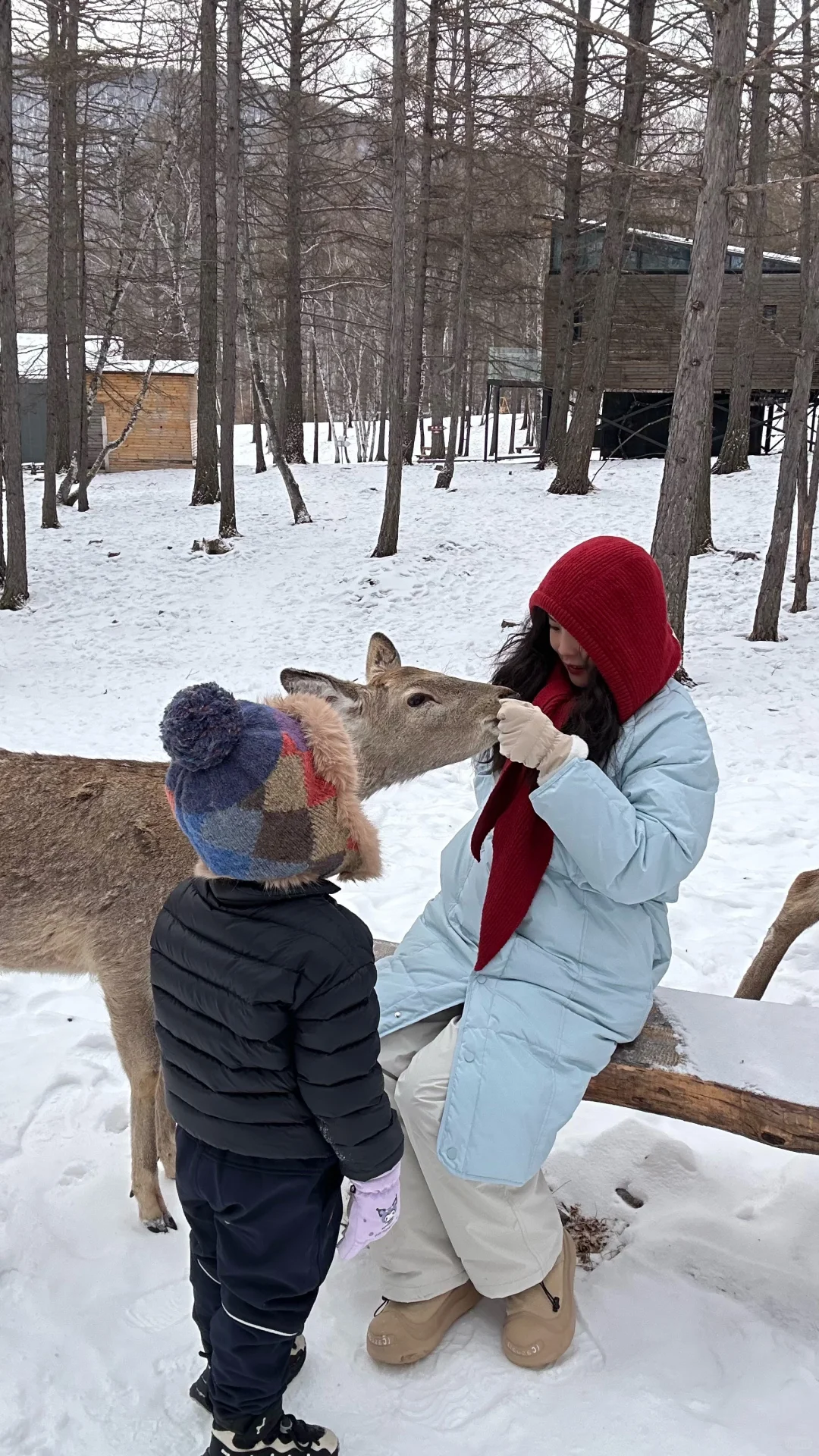 祖国的大好河山