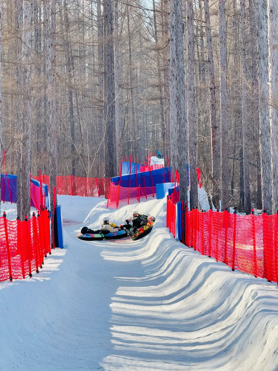 长春净月潭冬季游玩全攻略‼️不踩雷