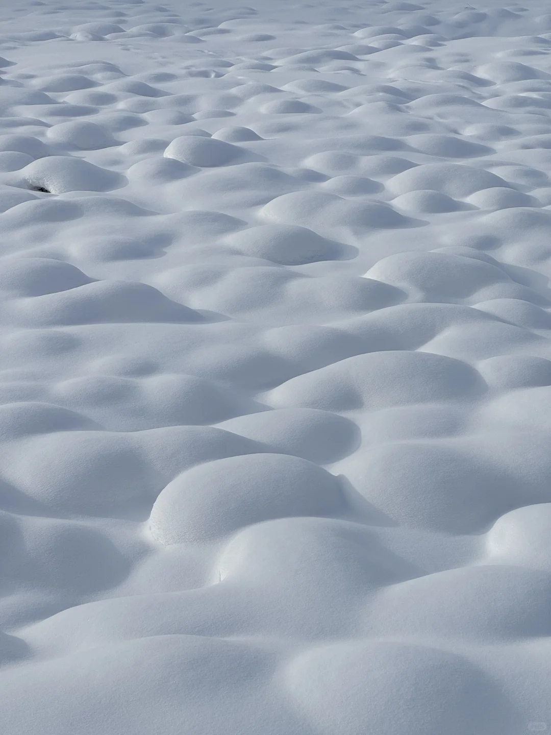 冬日反向旅游!闯入伊春的冰雪童话森林