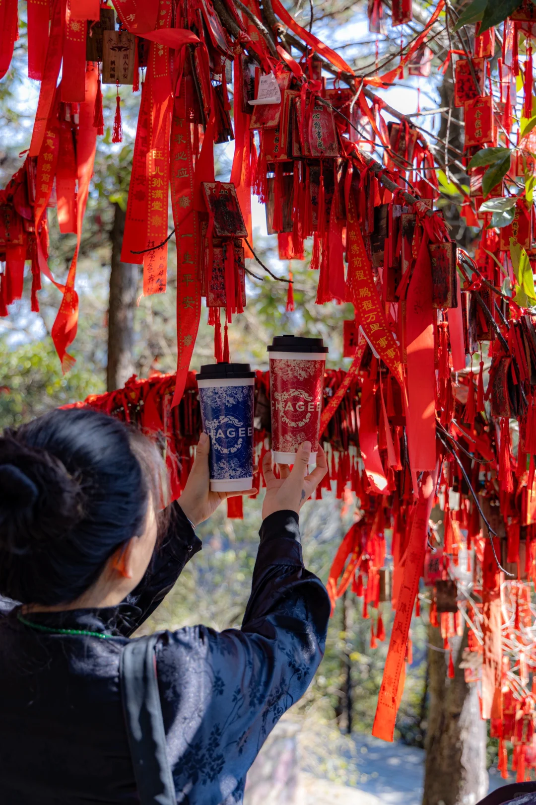 台州人嘴这么严，不用爬的山也不宣传一下吗？