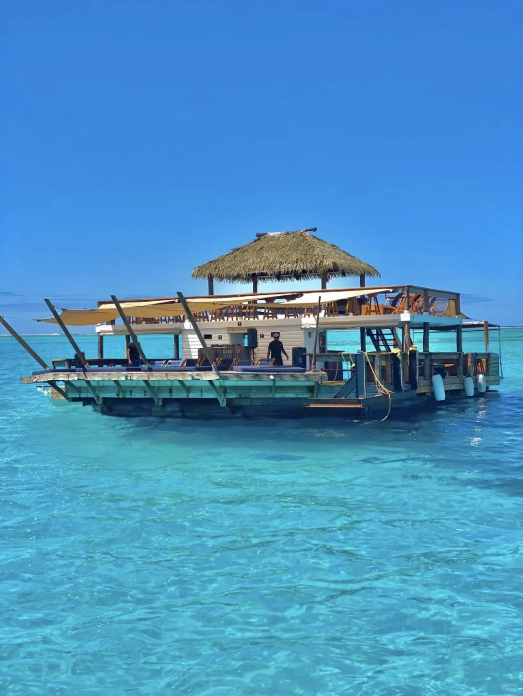 真心建议…春节就去斐济吧，划算到怀疑人生😱