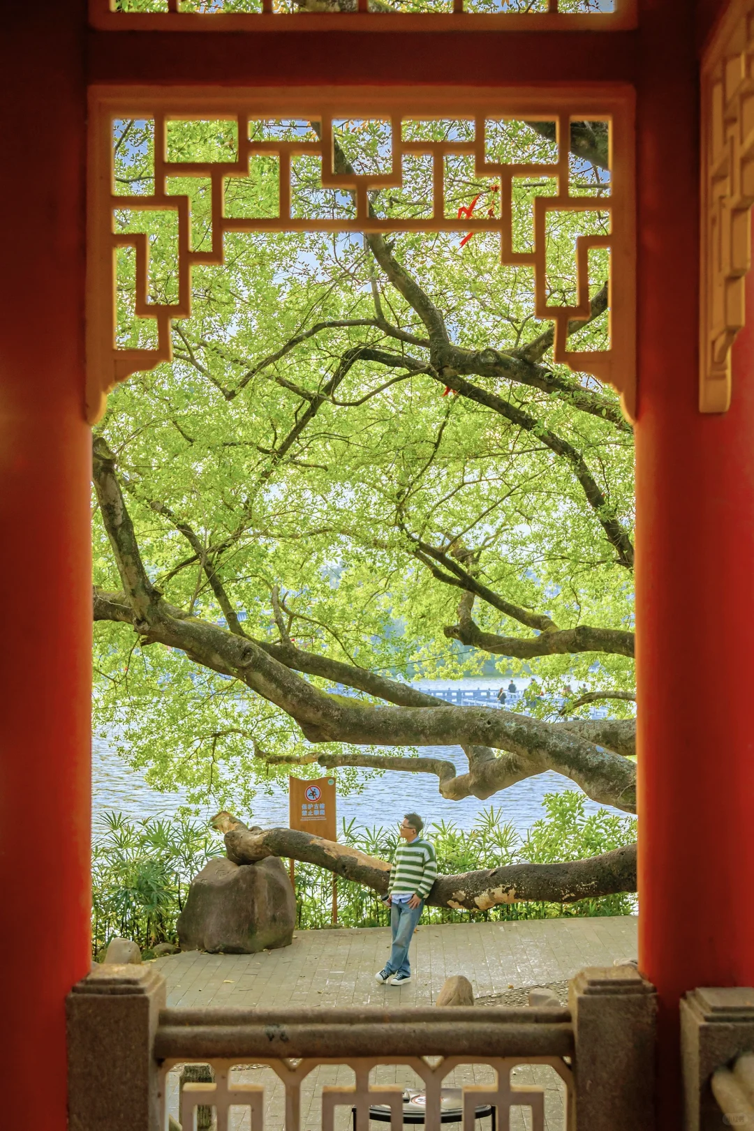 惠州｜春节citywalk别错过这些景点和花灯