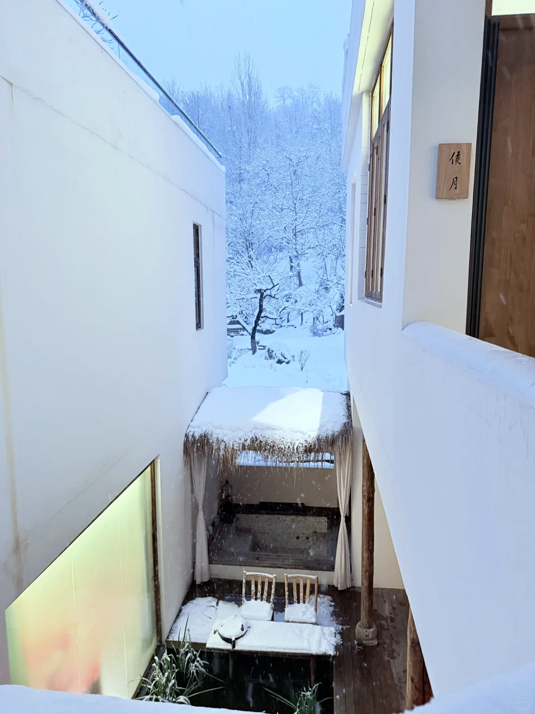 美到失语❗️西安0.5h直达阿勒泰，能免费滑雪