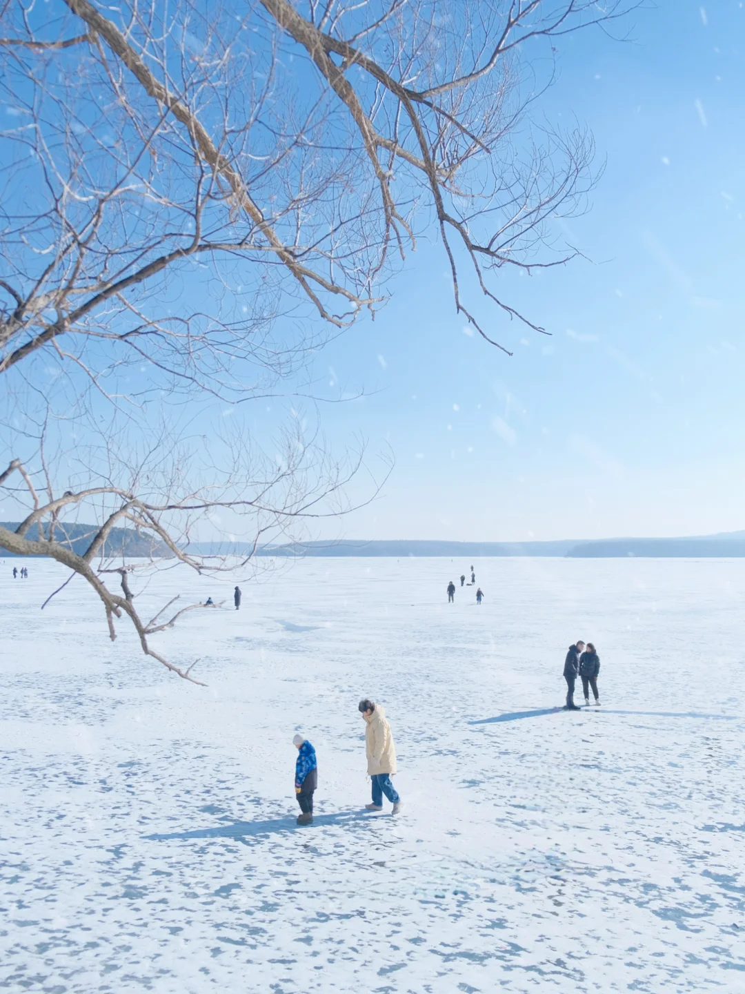 长春净月潭冬季游玩全攻略‼️不踩雷
