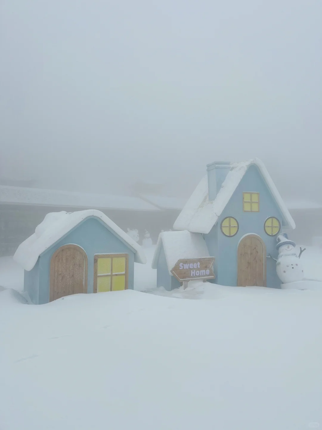 01.26庐山实况|今天下大雪啦|白雪皑皑!!!