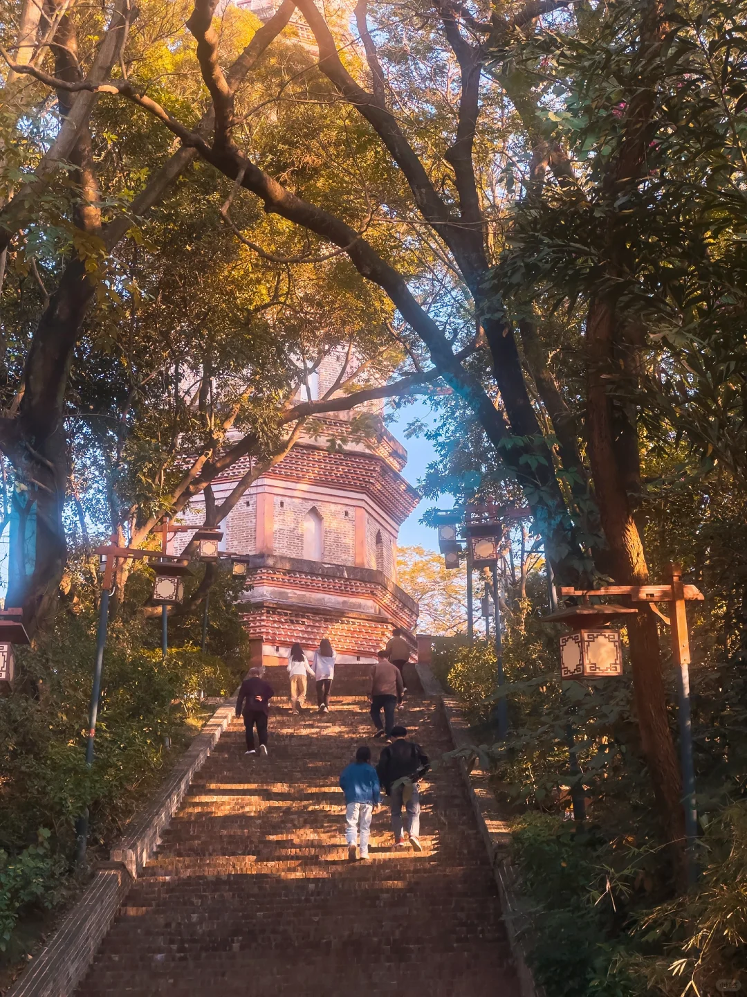 惠州｜春节citywalk别错过这些景点和花灯