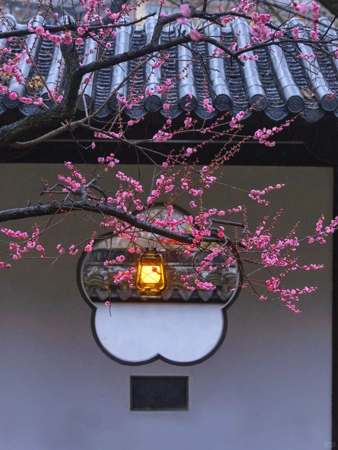 我夸南京一万遍,不及你亲自来看一眼 附攻略