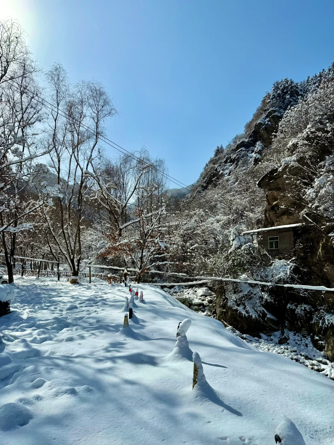 美到失语❗️西安0.5h直达阿勒泰，能免费滑雪