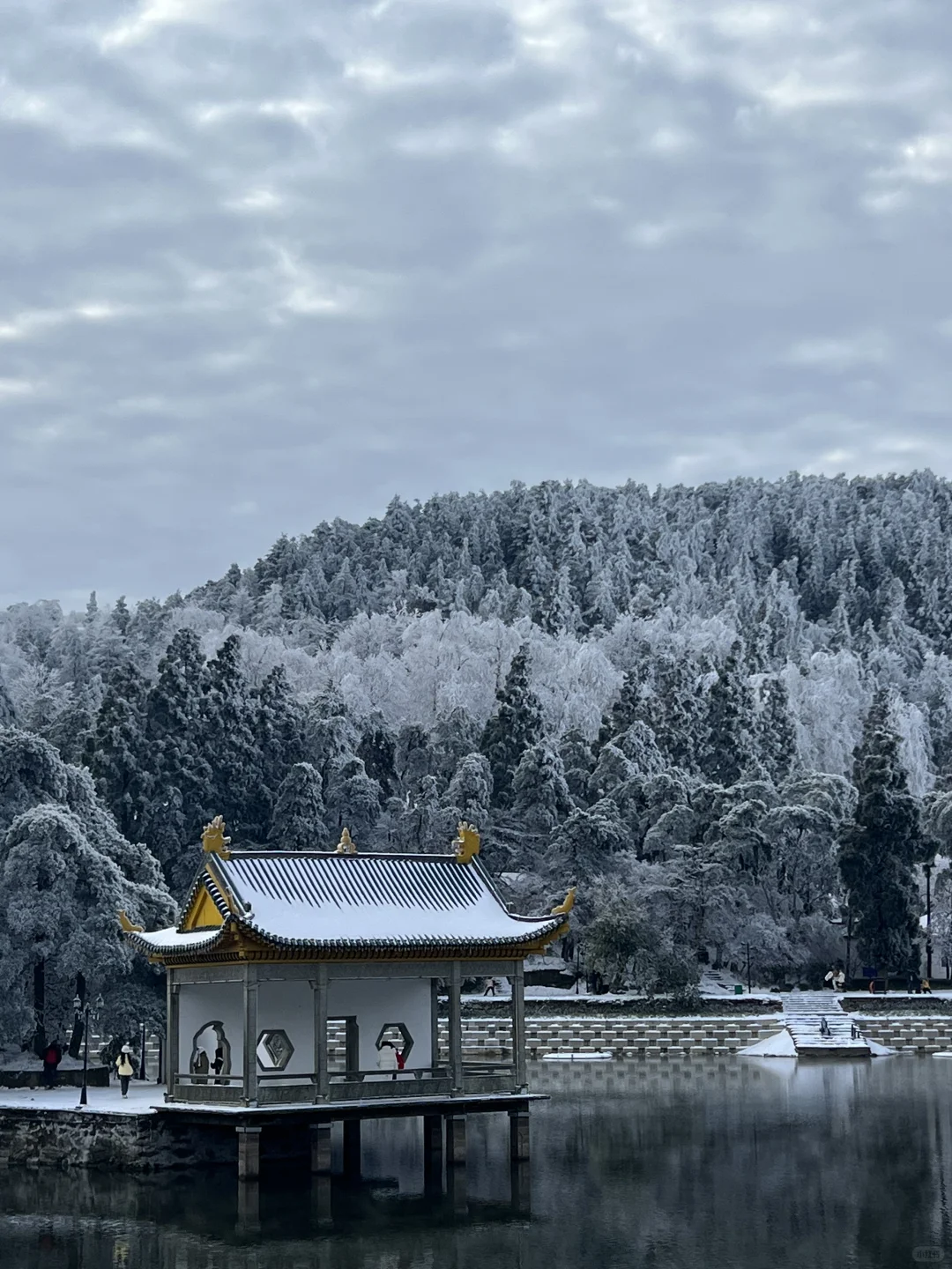 一到冬天❄️庐山就是掌管雪景的神👺【1.26】