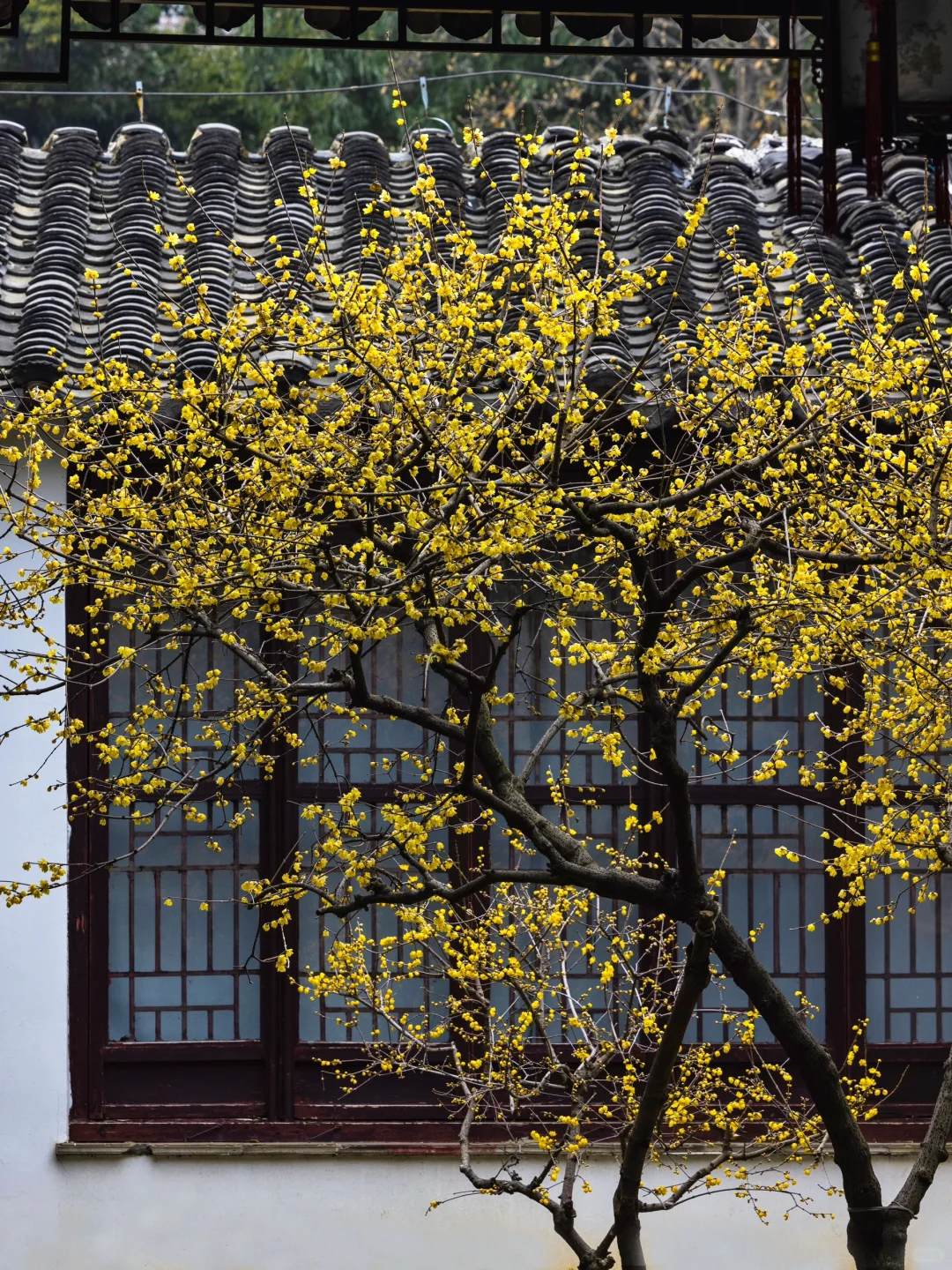 我夸南京一万遍,不及你亲自来看一眼 附攻略