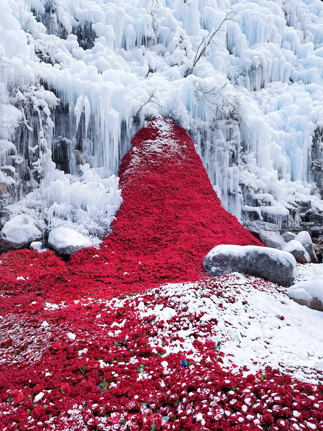 1.18云台山实拍现状❄️附懒人攻略和住宿体验