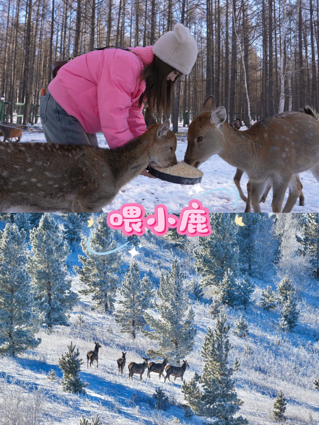 🫅童话阿尔山 |过年小众旅行地🧨