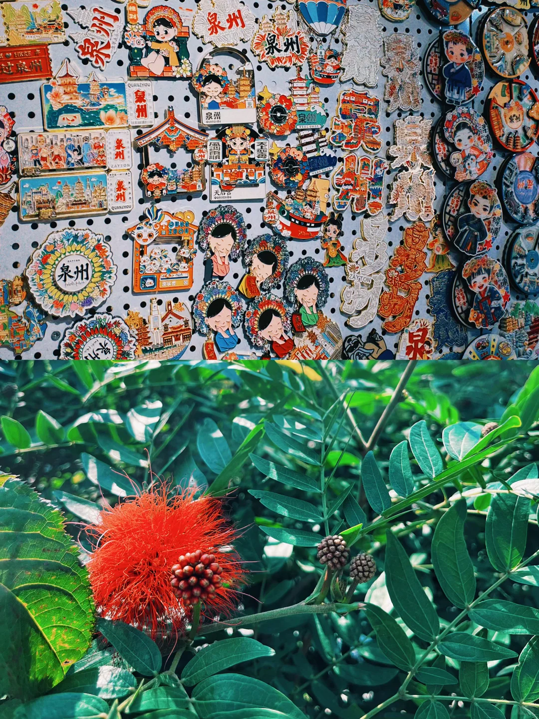 福建｜泉州4日亲子，超赞非遗之旅