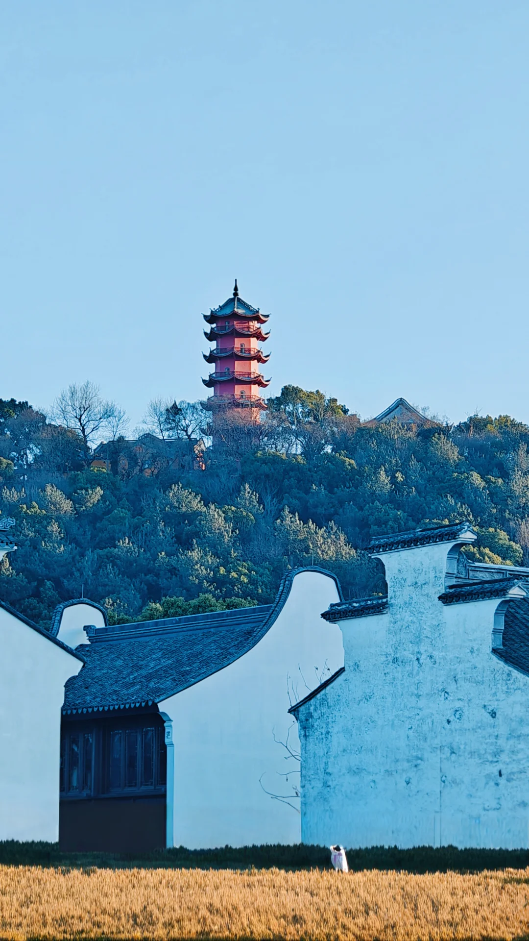 【无锡·惠山古镇】