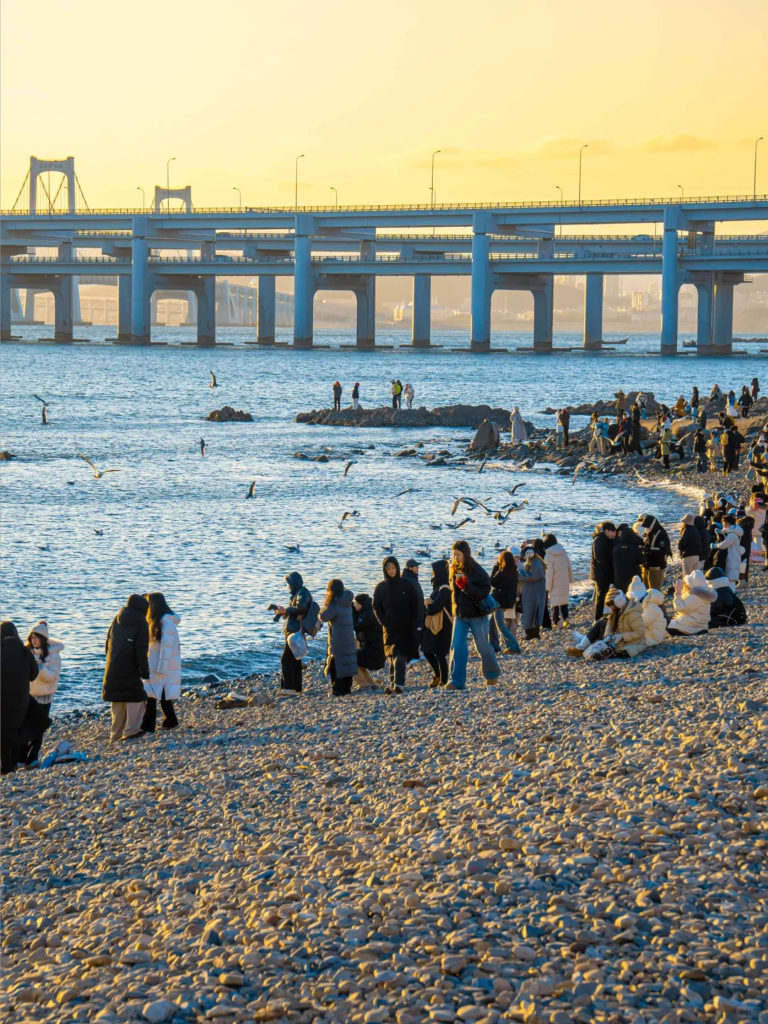 大连|春节反向旅游攻略🌊看这一篇就够了‼️
