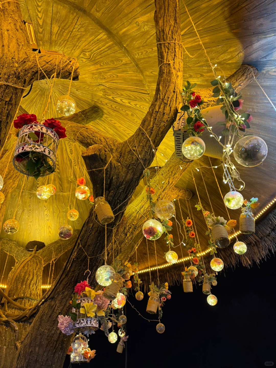 现在去开封巨划算！