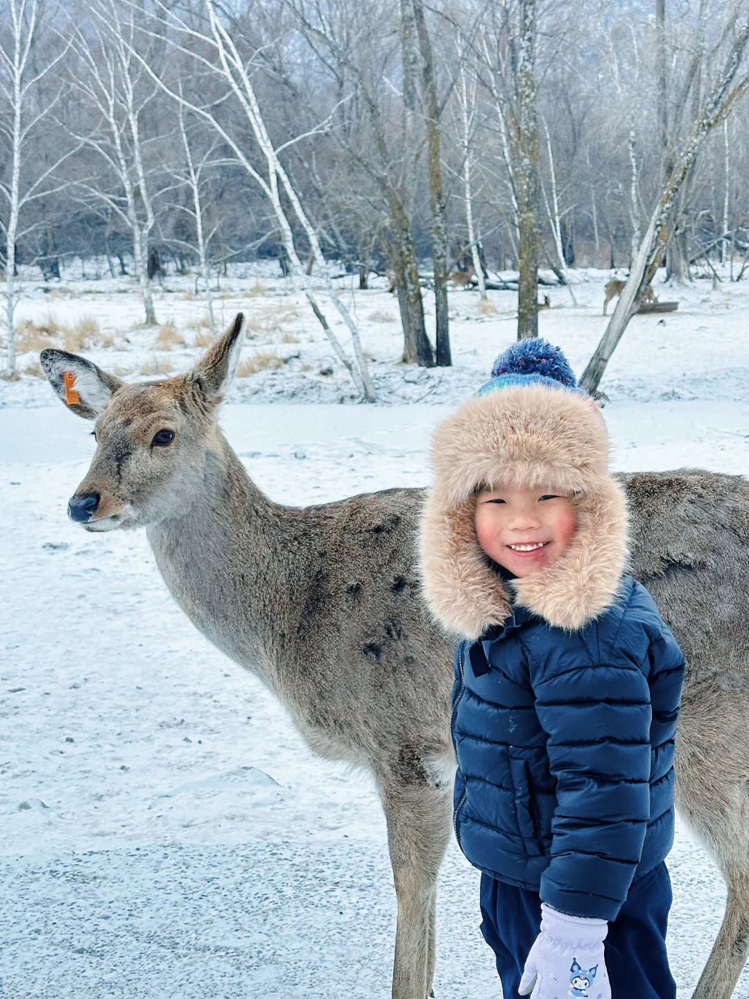 祖国的大好河山