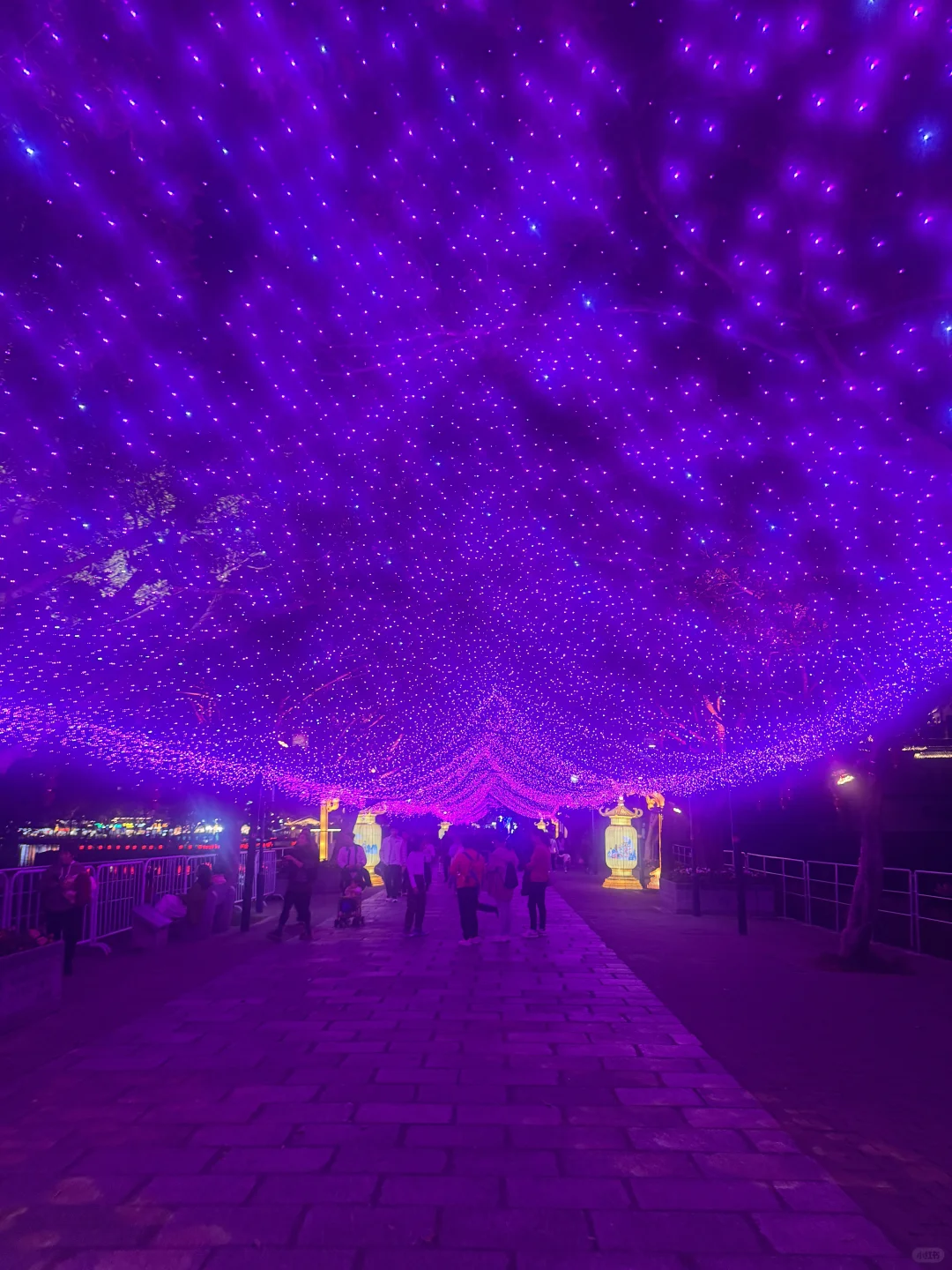 惠州西湖花灯预约最全攻略(含免预约通道)🙌