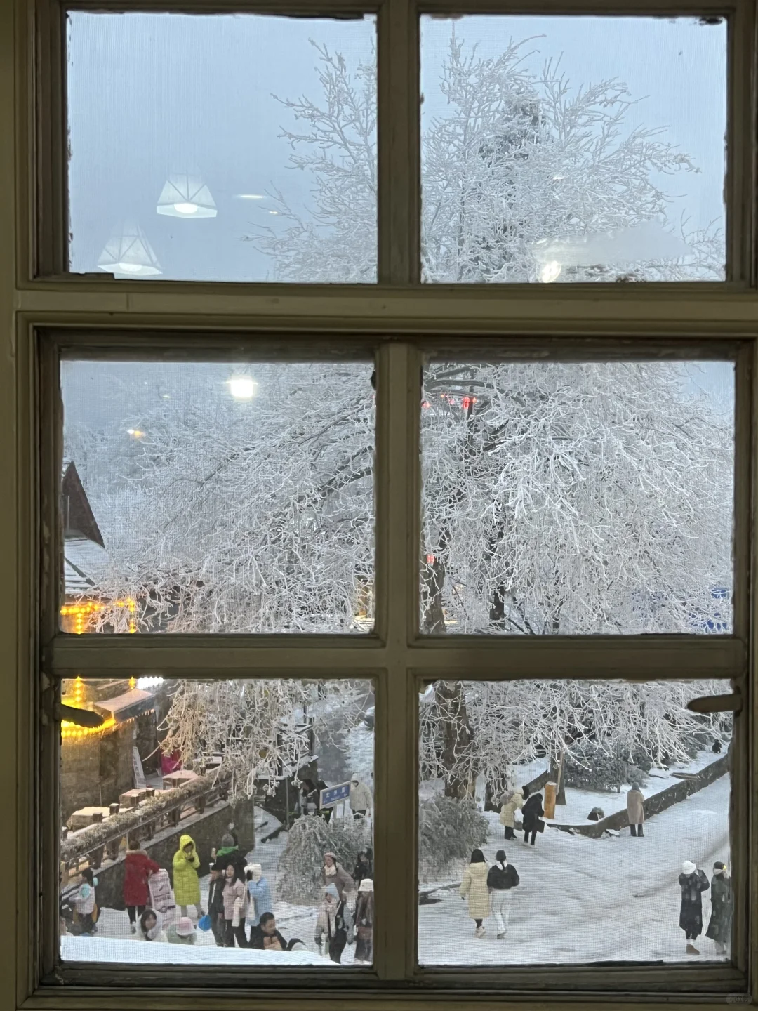 一到冬天❄️庐山就是掌管雪景的神👺【1.26】