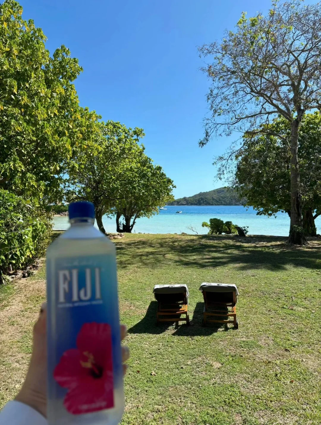 真心建议…春节就去斐济吧，划算到怀疑人生😱