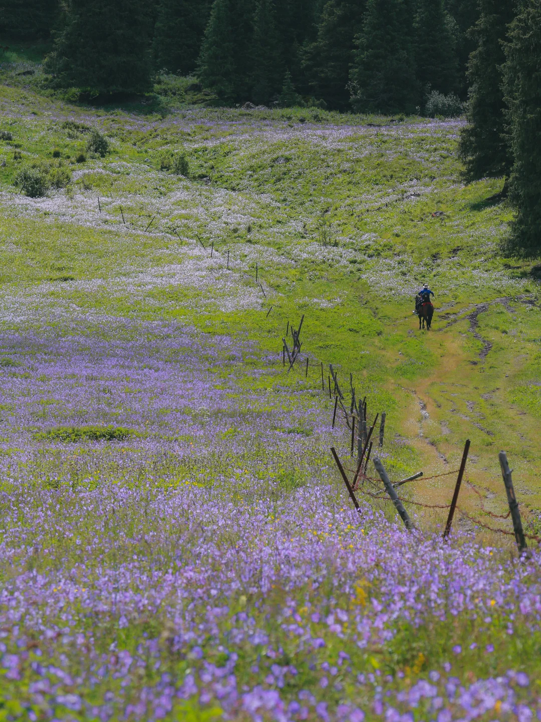 real China! Chinese outdoor life