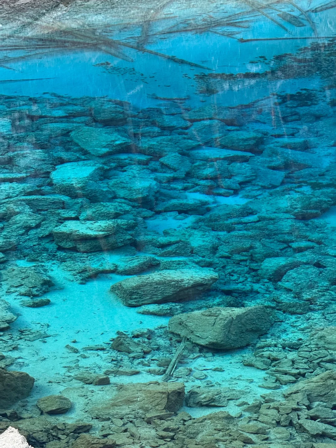 1.21📍九寨沟live实况❗️真心建议➕避雷攻略