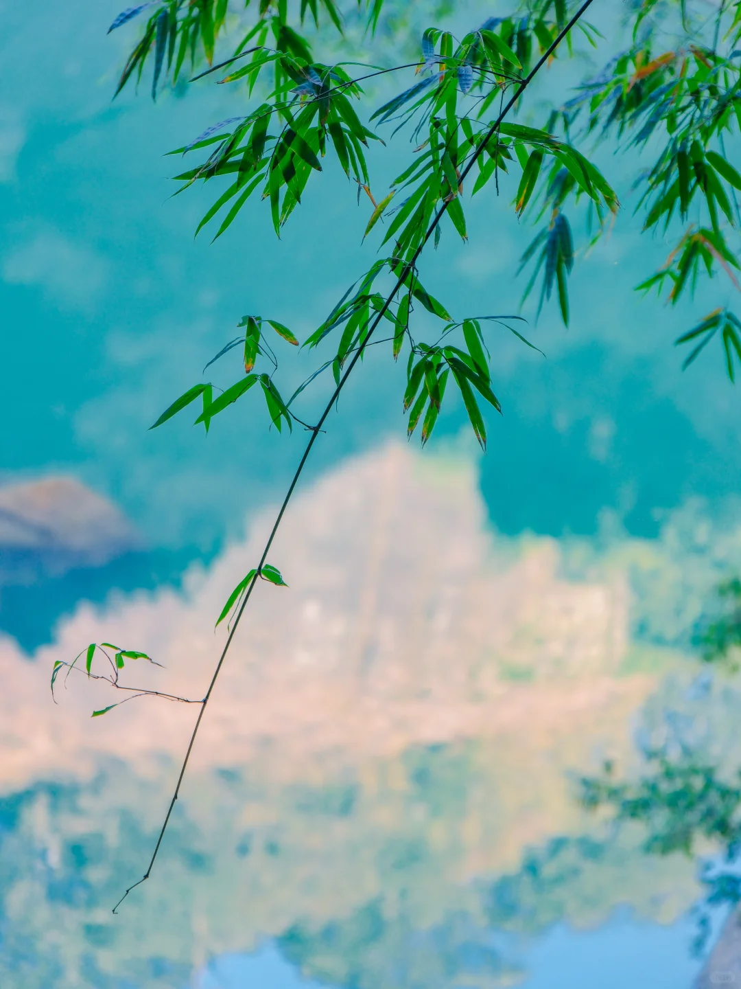 比起厦门,我更爱这《国家地理》推荐的小城