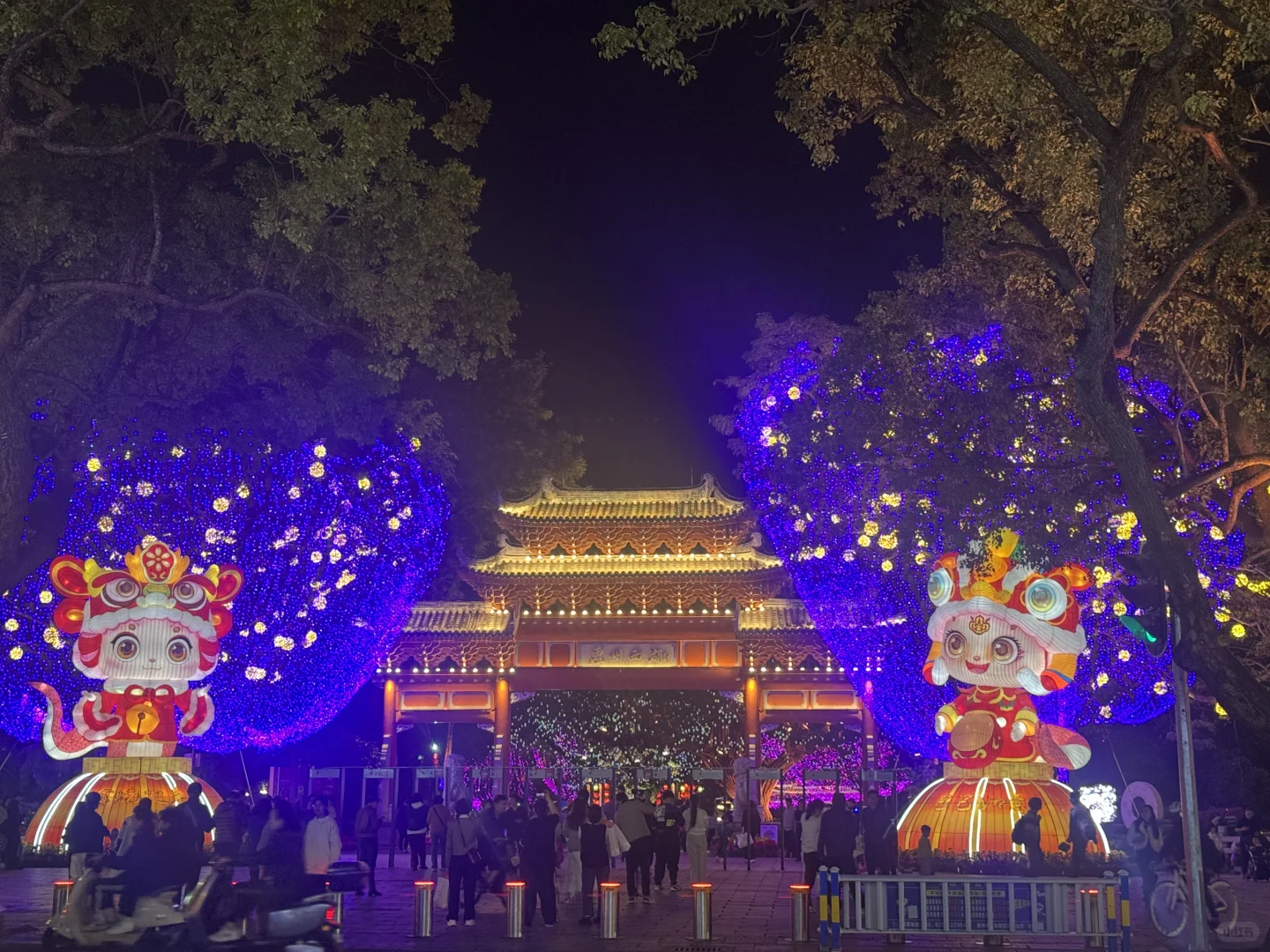 惠州西湖花灯预约最全攻略(含免预约通道)🙌