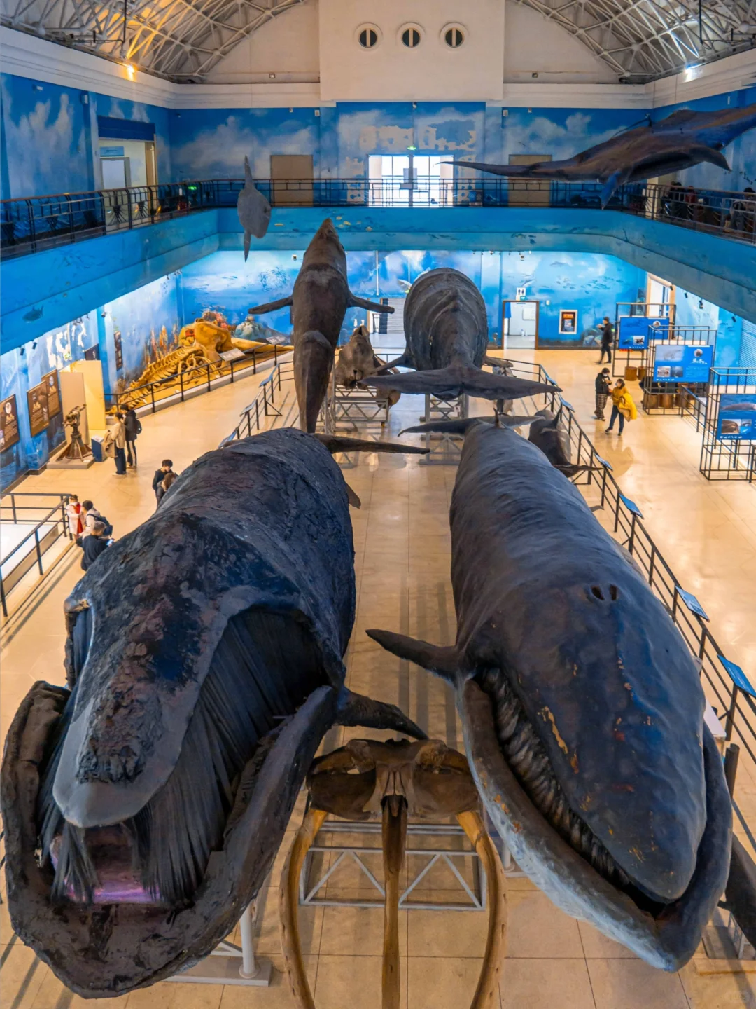 大连|春节反向旅游攻略🌊看这一篇就够了‼️