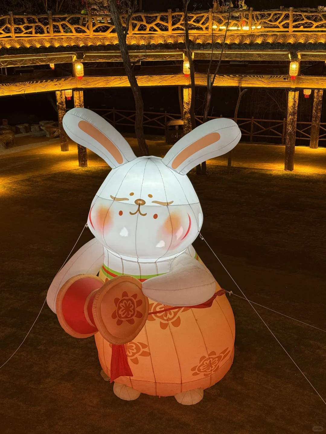 现在去开封巨划算！