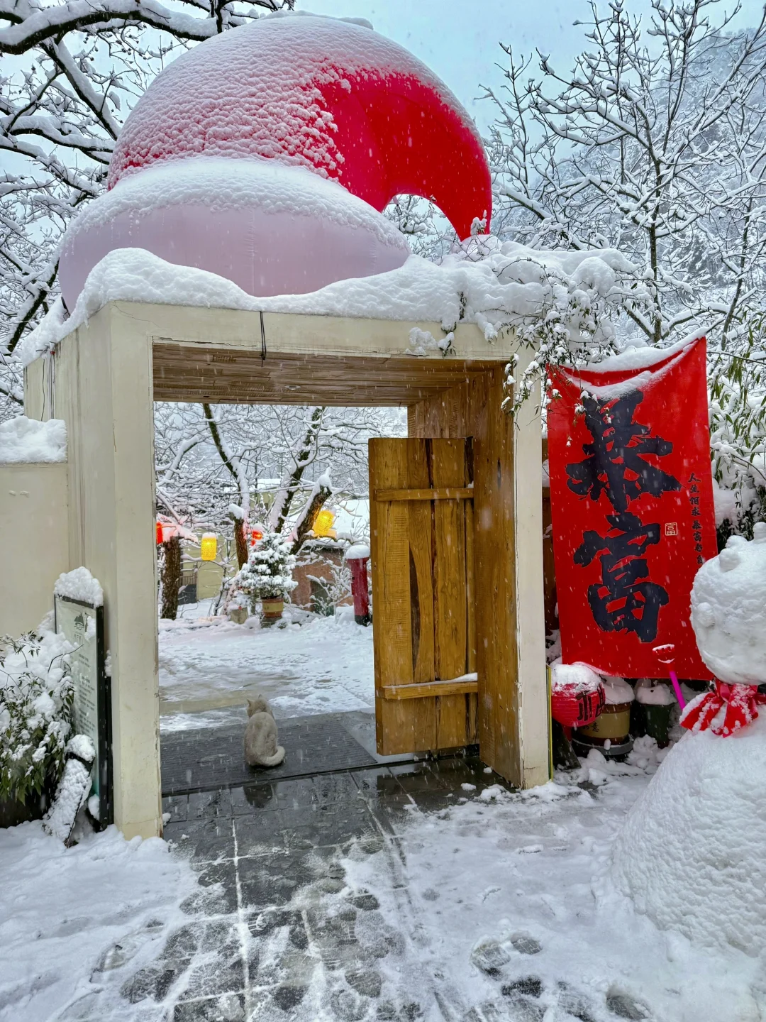 美到失语❗️西安0.5h直达阿勒泰，能免费滑雪