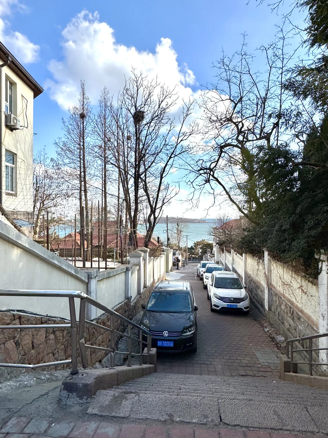 青岛1月16日现状！反向旅游真的劝退不了一点