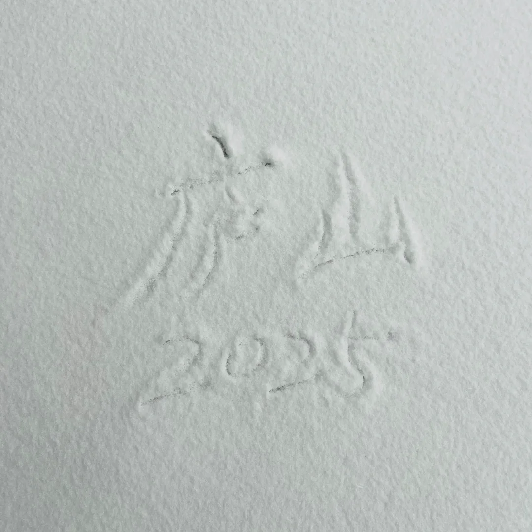 01.26庐山实况|今天下大雪啦|白雪皑皑!!!