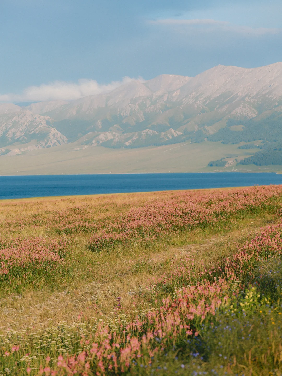 real China! Chinese outdoor life