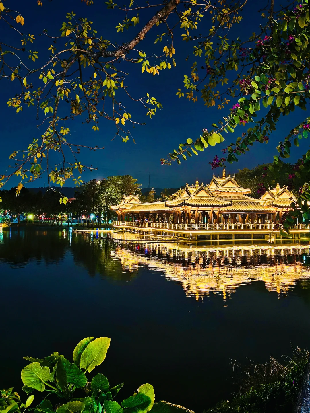 惠州｜春节citywalk别错过这些景点和花灯