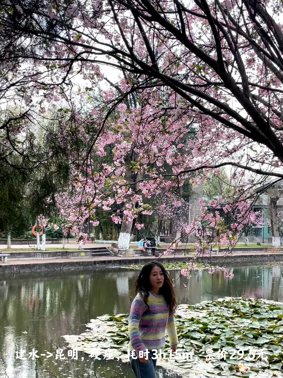 一个人花260元,坐火车去了云南10个城市