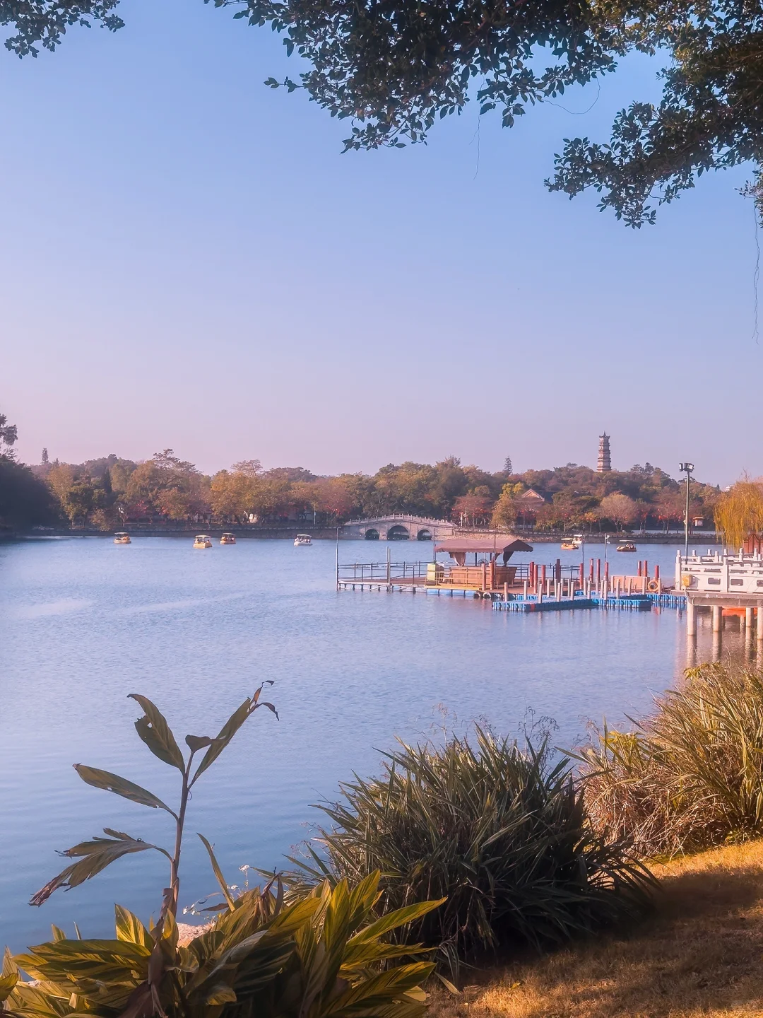 惠州｜春节citywalk别错过这些景点和花灯