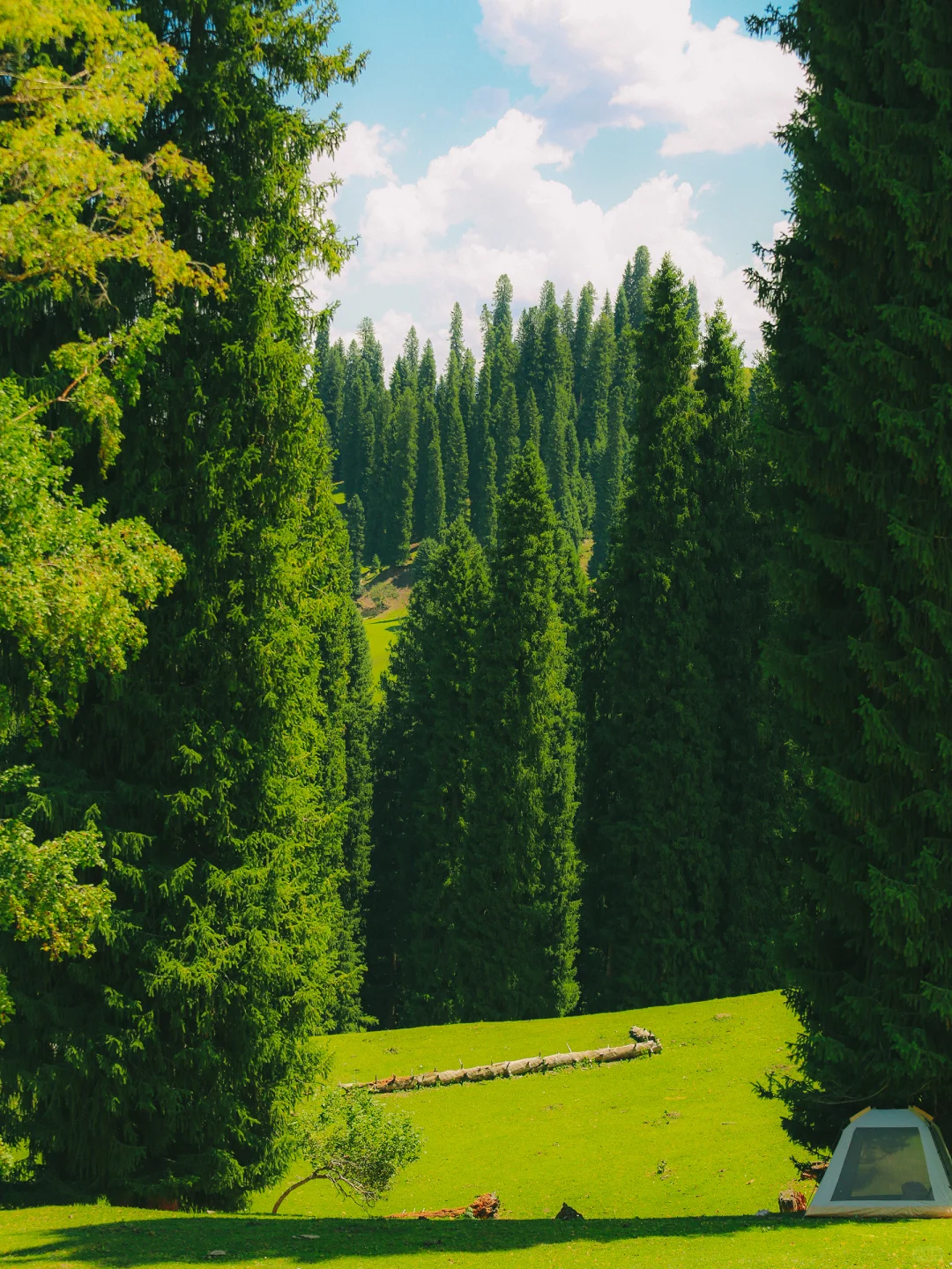 real China! Chinese outdoor life