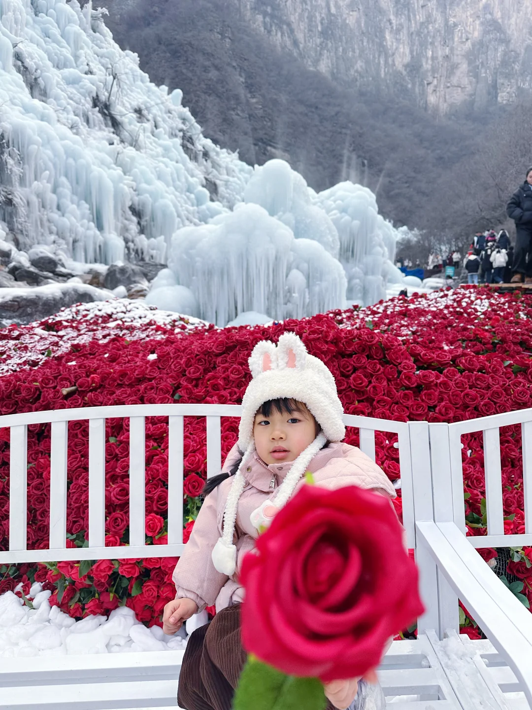 1.18云台山实拍现状❄️附懒人攻略和住宿体验